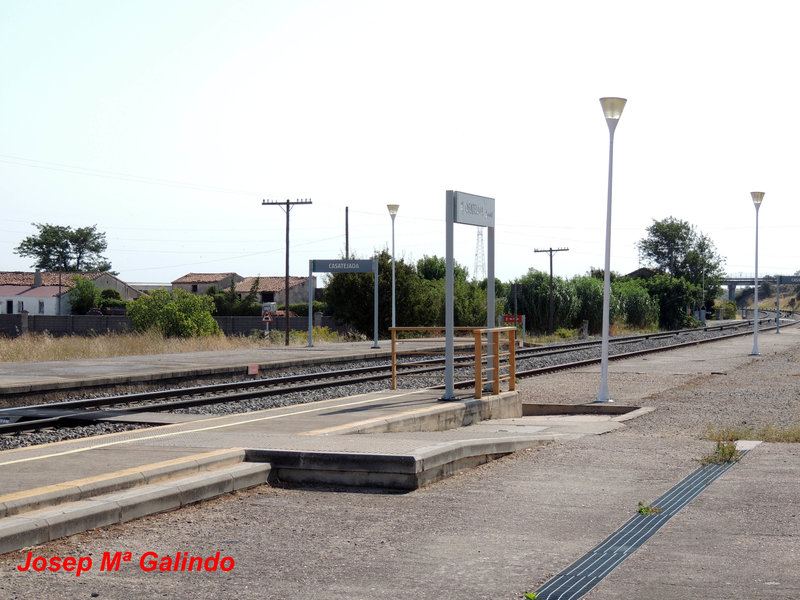 DSCN9762.jpg