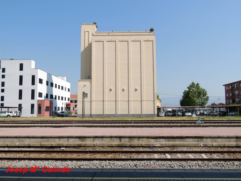 DSCN9767.jpg
