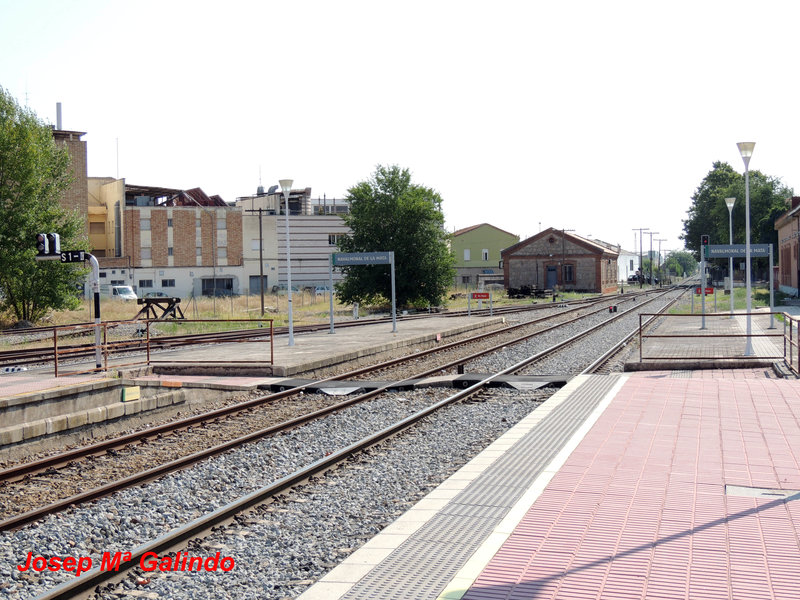 DSCN9769.jpg