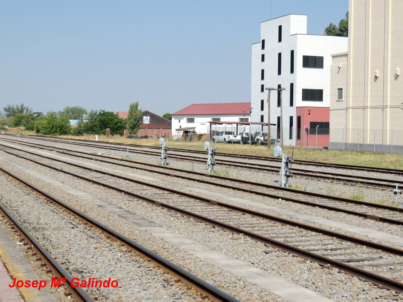 DSCN9772.jpg