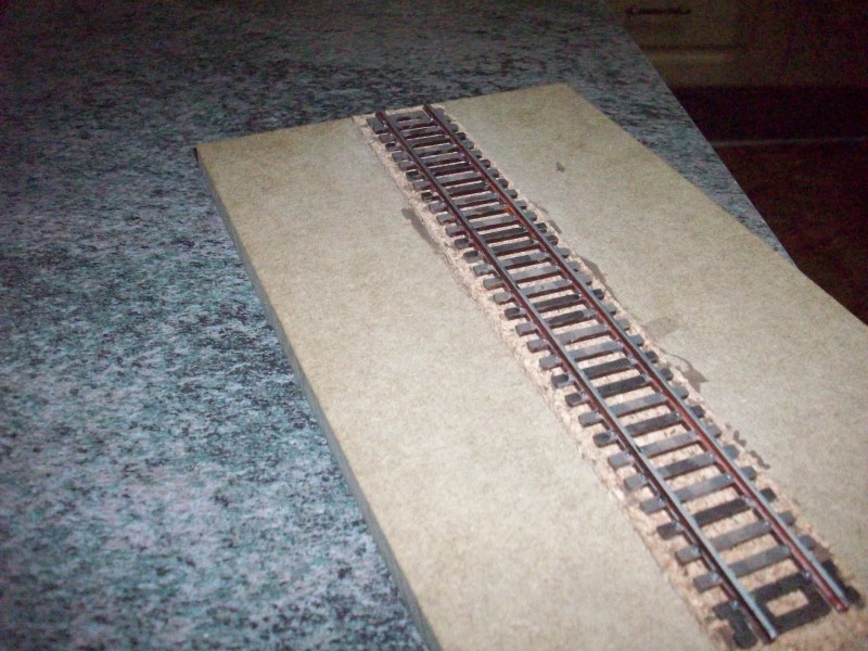 100_0011.JPG