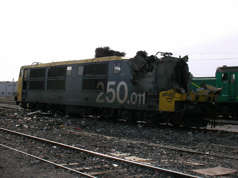 SANY0008.JPG