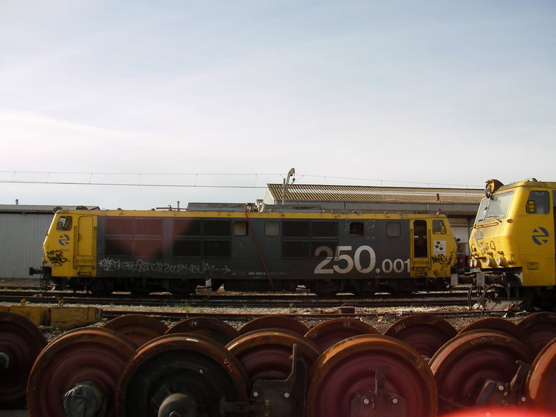SANY0010.JPG
