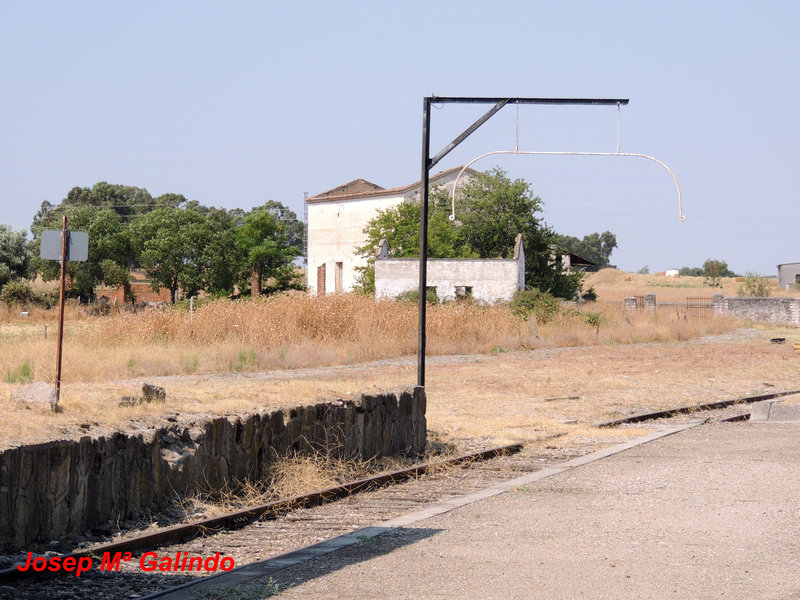 DSCN9786.jpg