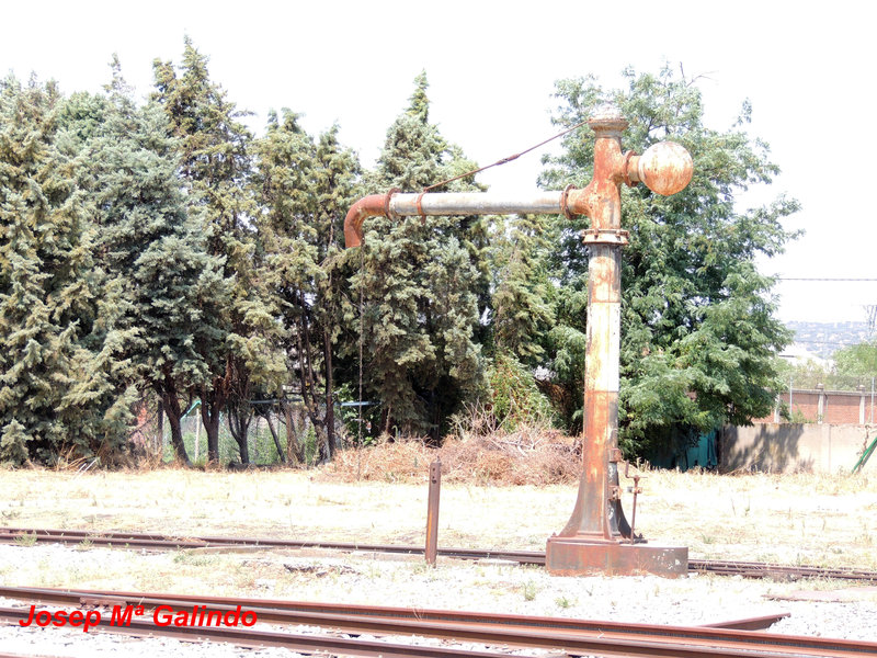 DSCN9802.jpg