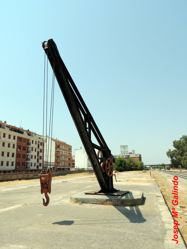 DSCN9819.jpg