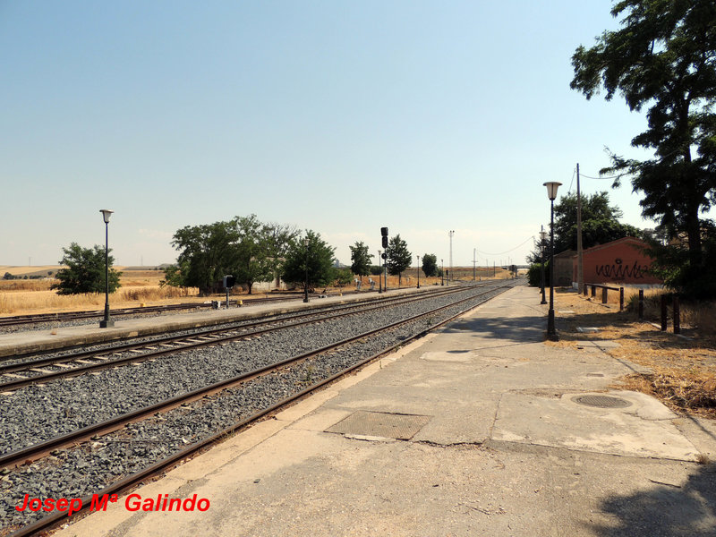 DSCN9873.jpg