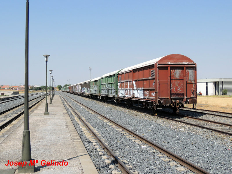DSCN9875.jpg