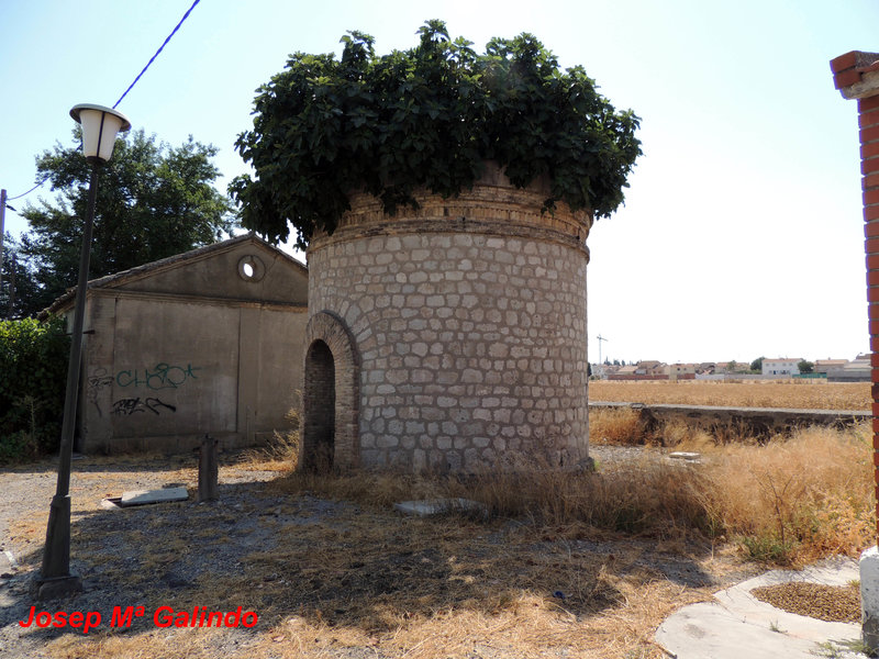 DSCN9879.jpg