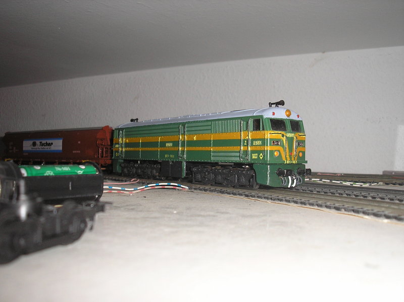 P1010008.JPG