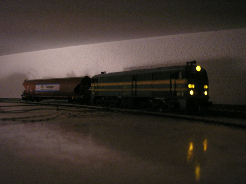 P1010010.JPG