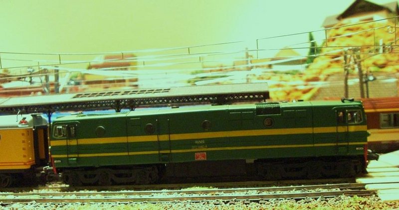 CIMG8474.JPG