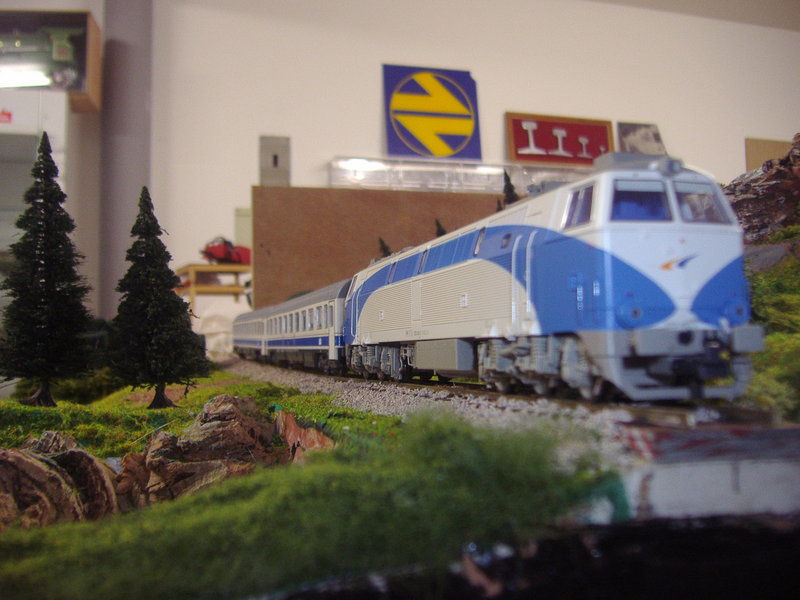 PB056347.JPG