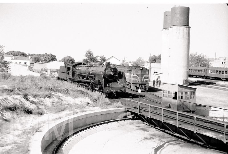 319.jpg
