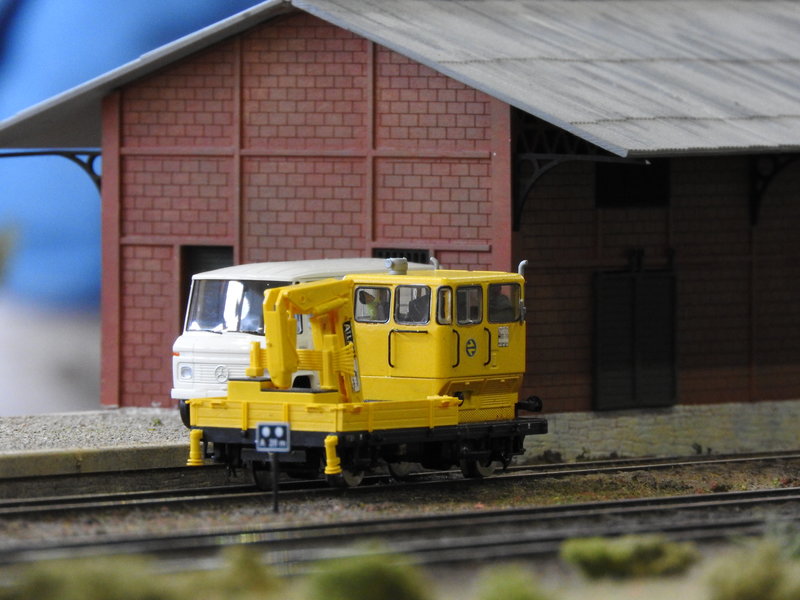 DSCN1519.JPG
