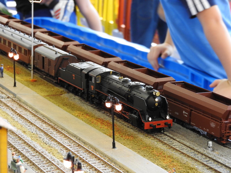 DSCN1535.JPG