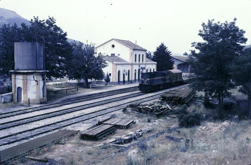 337.jpg