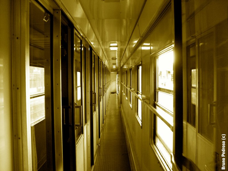 SDC11905.JPG