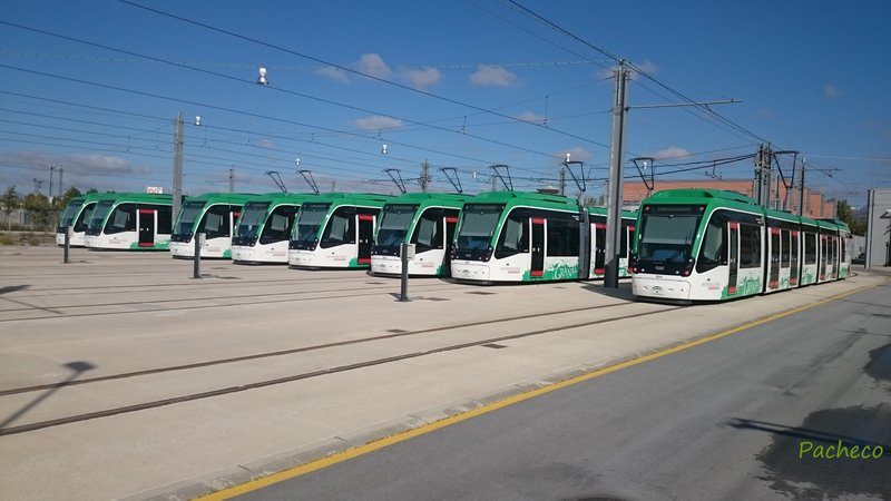 506.jpg