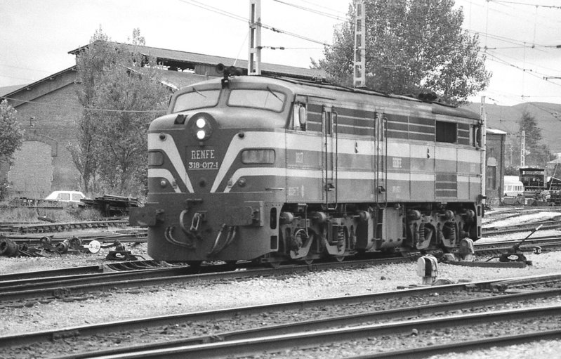 353.jpg