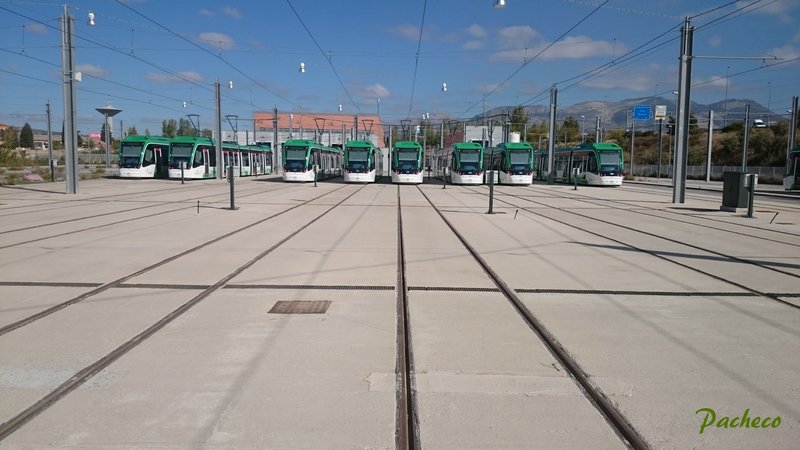 509.jpg