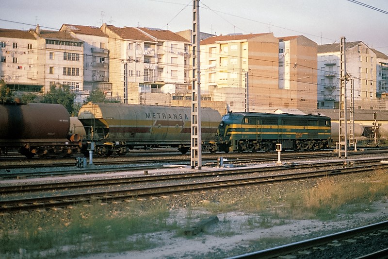 113.jpg