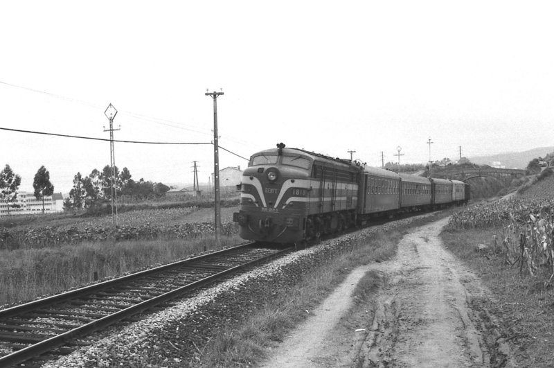 351.jpg