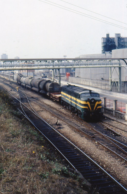 354.jpg
