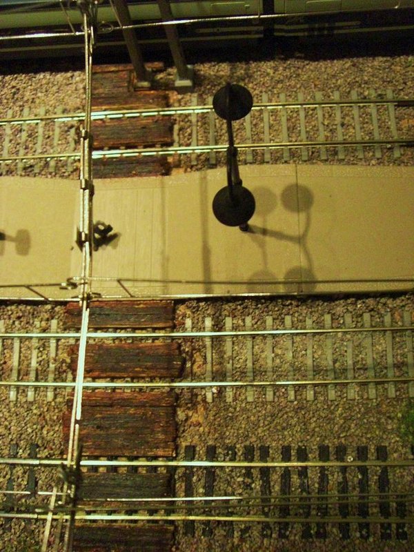 CIMG8592.JPG