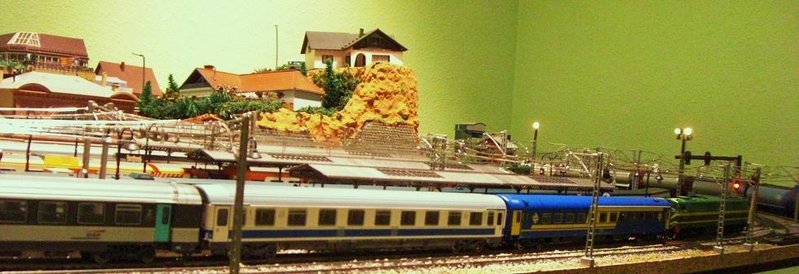 CIMG8600.JPG
