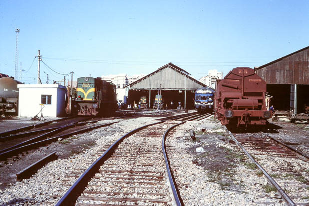 383.jpg