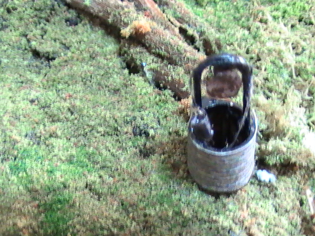 PIC_0325.JPG