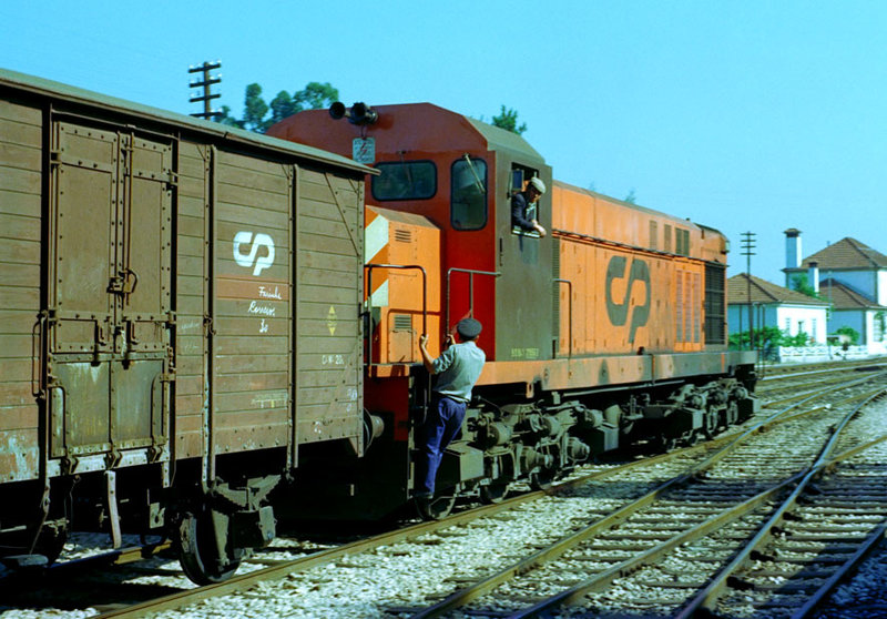 230894cp1556.jpg