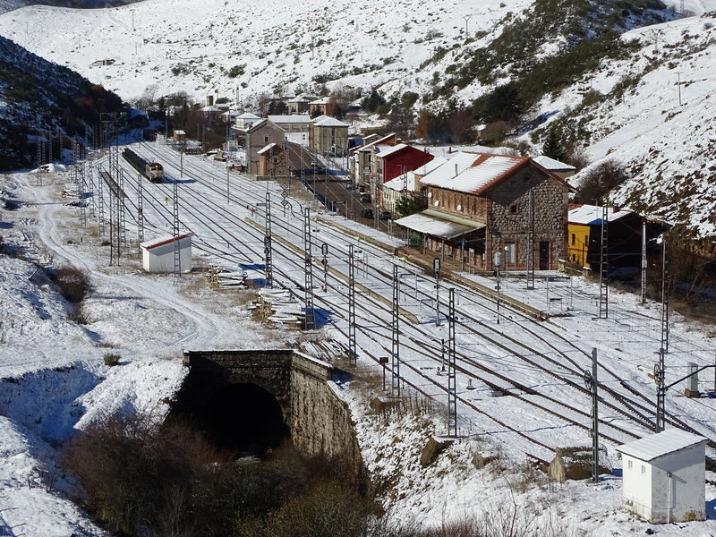 DSC01370.JPG