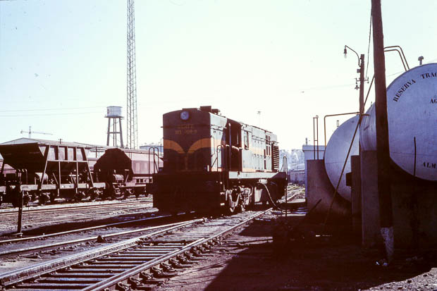 385.jpg