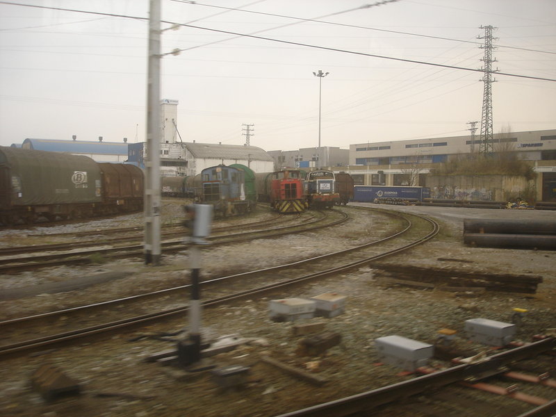 DSC01404.JPG