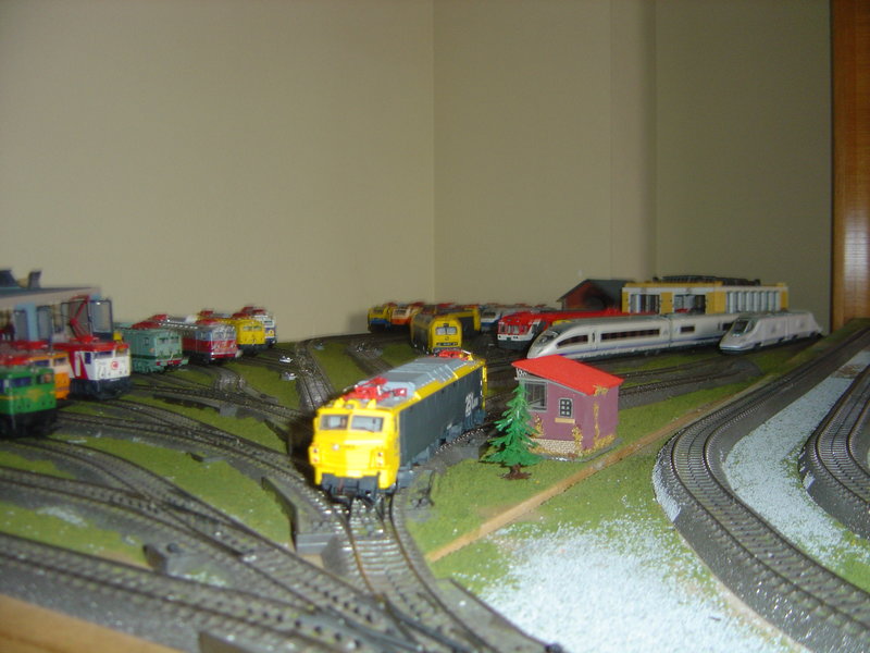 MANIOBRAS TREN 11 042.JPG
