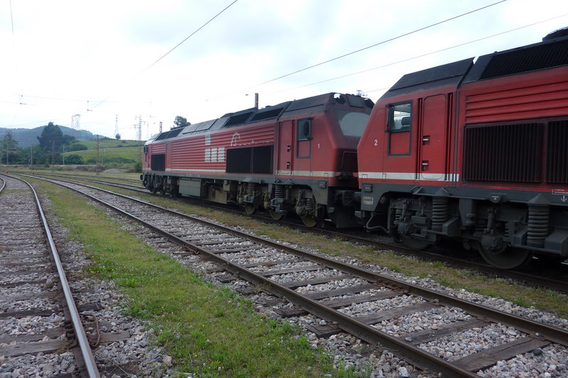 P1010061.JPG