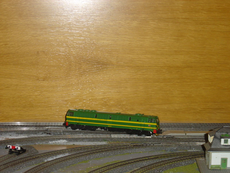 MANIOBRAS TREN 16 019.JPG