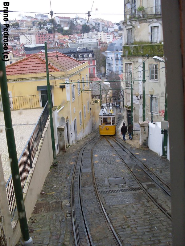 SDC11804.JPG