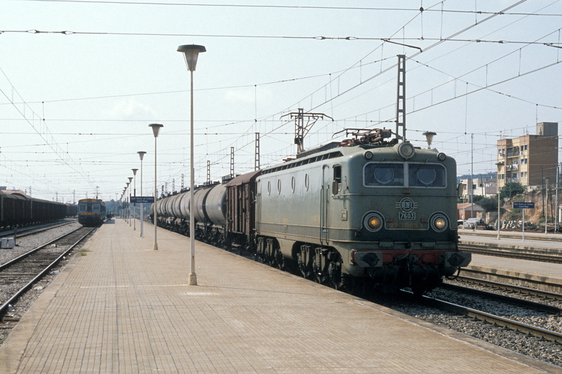 95.jpg