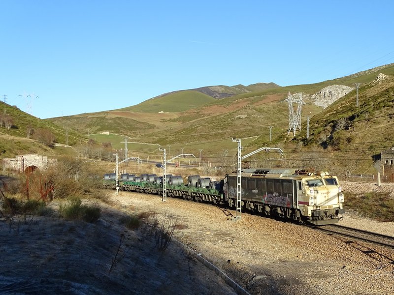 DSC01408.JPG