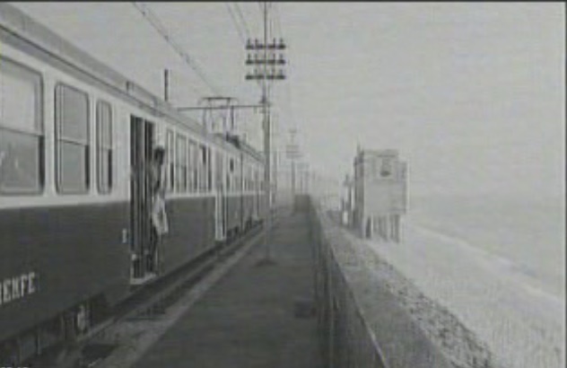 rd sz r.jpg