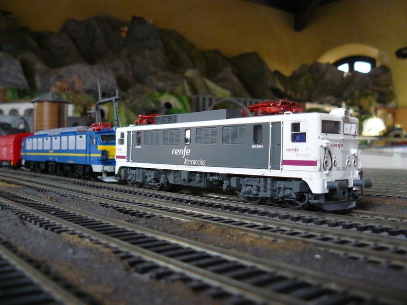 P1030198.JPG