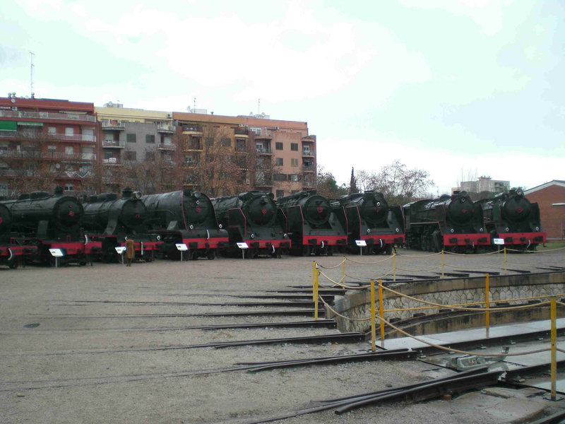 CIMG1038.JPG
