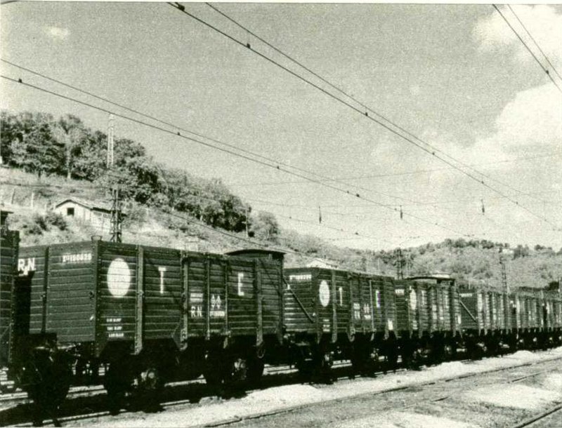 Xfhv-190328.jpg