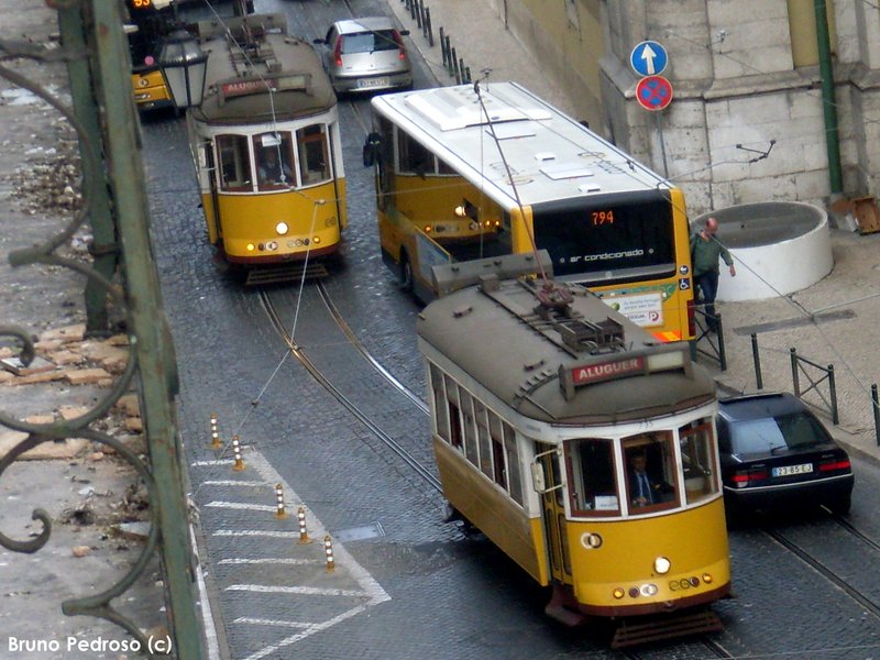 4263.JPG