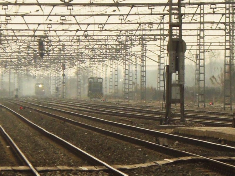 CIMG8675.JPG