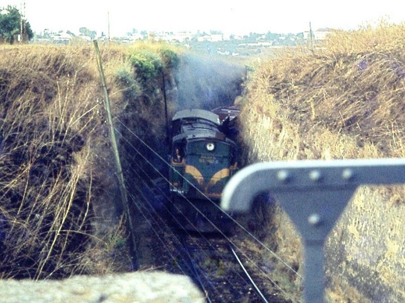RENFE 313-027 LOS PEDROCHES.jpg