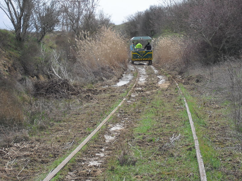 CIMG0625.JPG